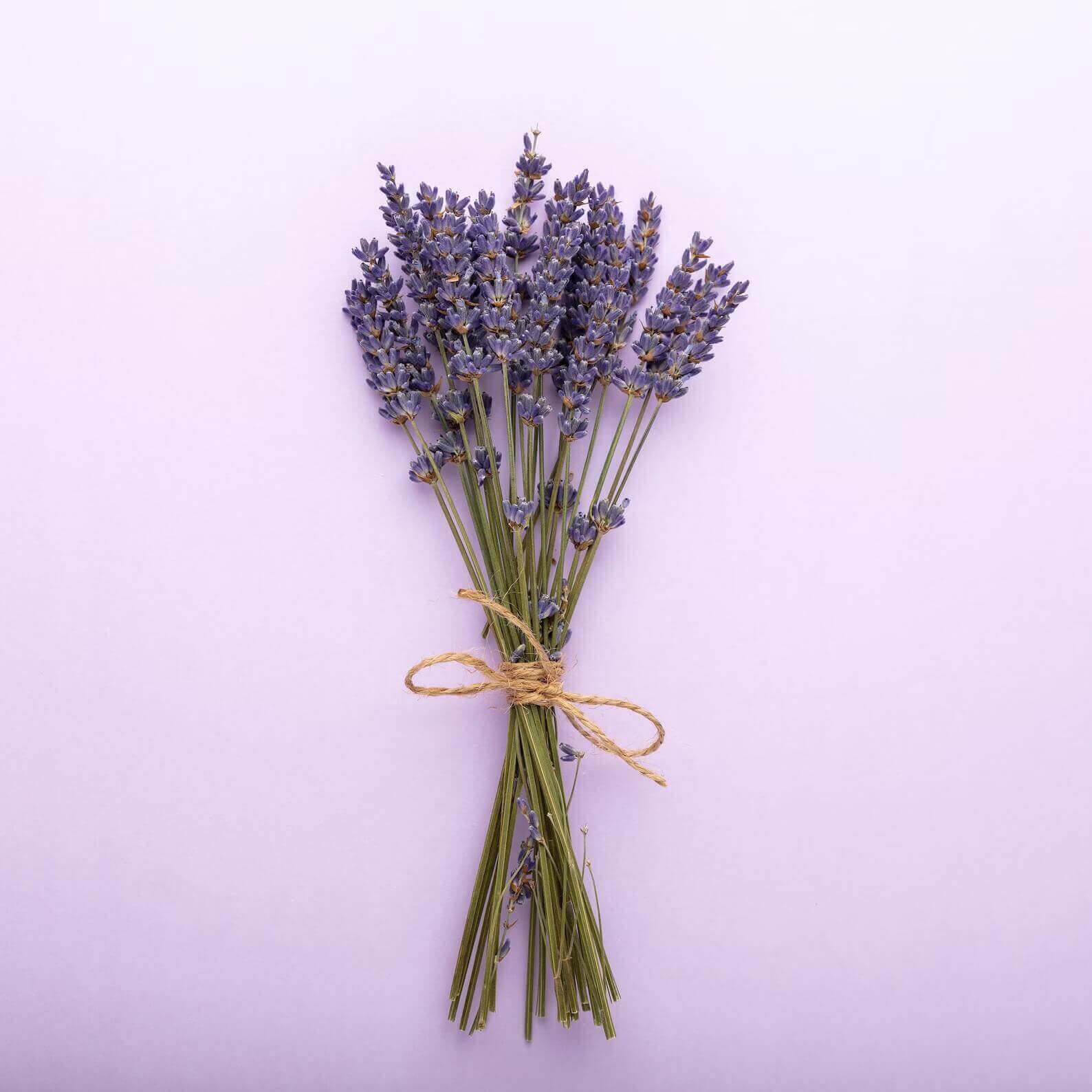 Lavender home decor.